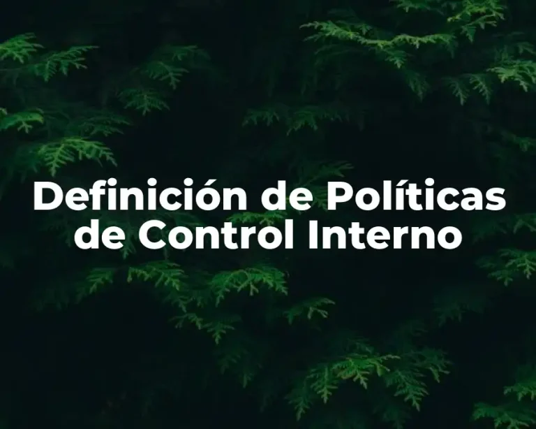 Definición de Políticas de Control Interno