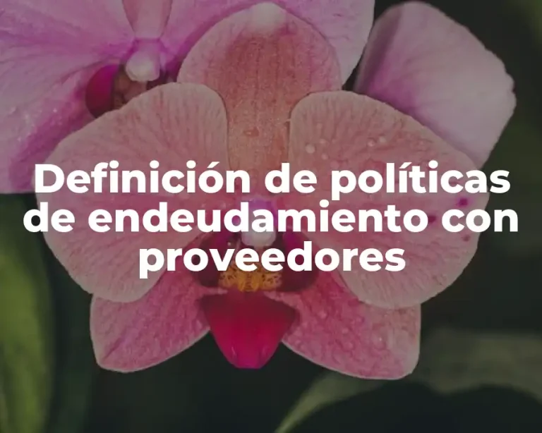 Definición de políticas de endeudamiento con proveedores
