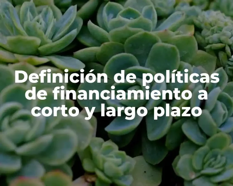 Definición de políticas de financiamiento a corto y largo plazo