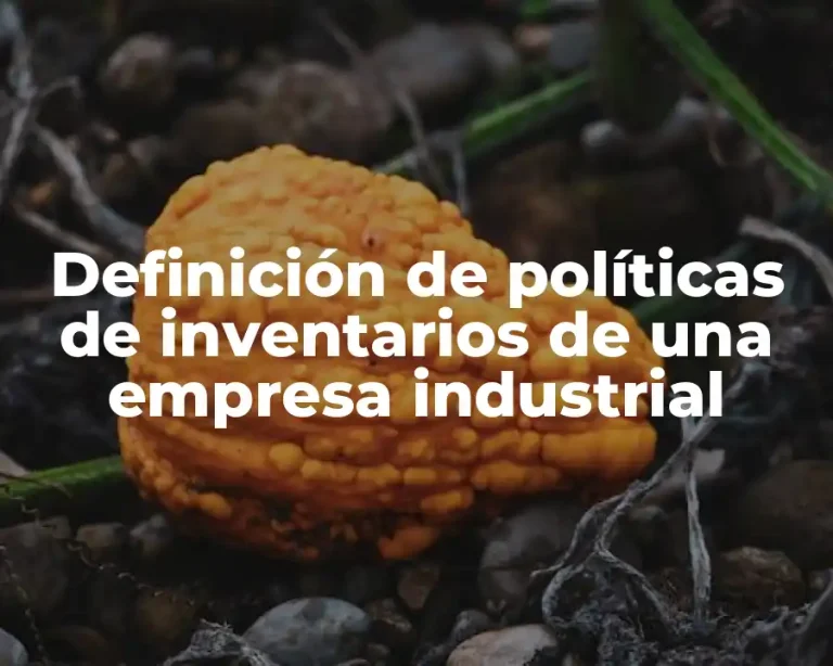 Definición de políticas de inventarios de una empresa industrial