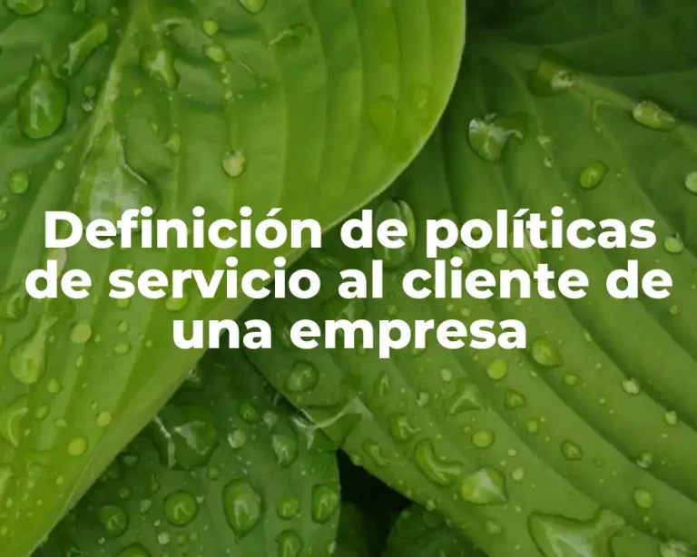 Definición de políticas de servicio al cliente de una empresa