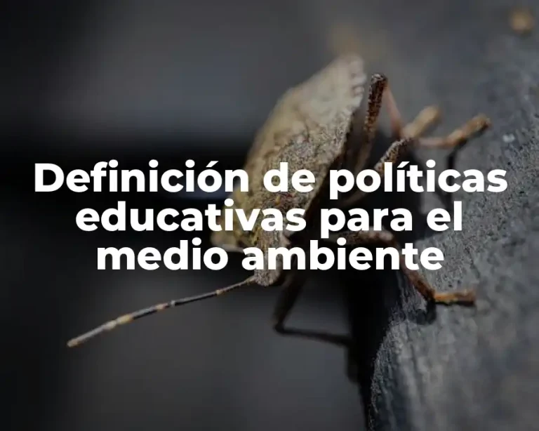 Definición de políticas educativas para el medio ambiente