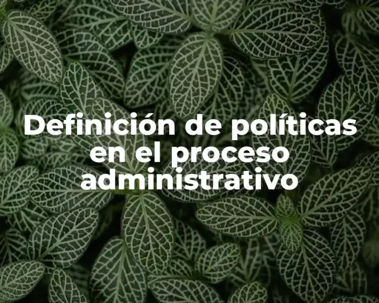 Definición de políticas en el proceso administrativo