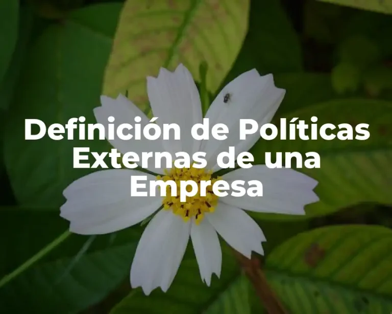 Definición de Políticas Externas de una Empresa