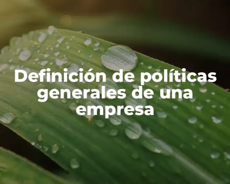 Definición de políticas generales de una empresa
