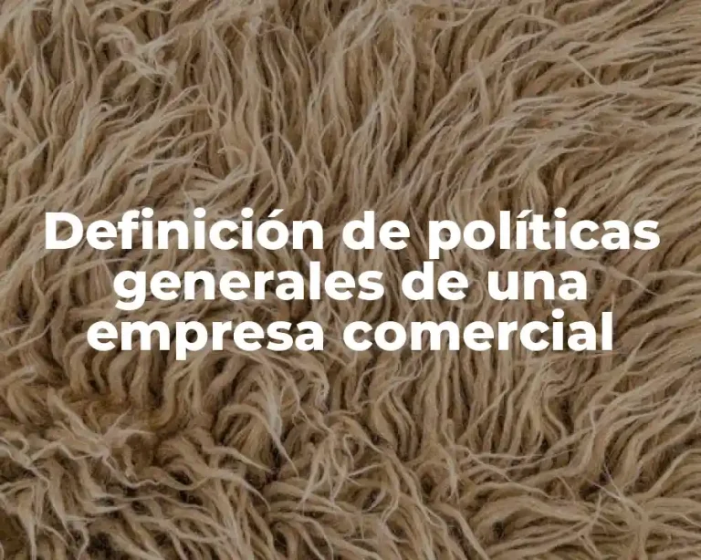 Definición de políticas generales de una empresa comercial