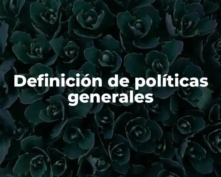 Definición de políticas generales