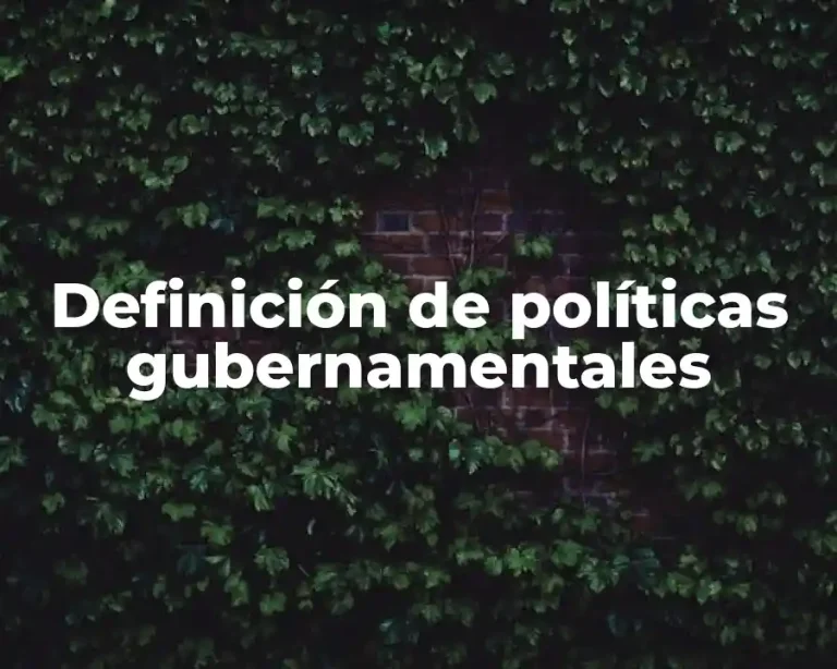 Definición de políticas gubernamentales