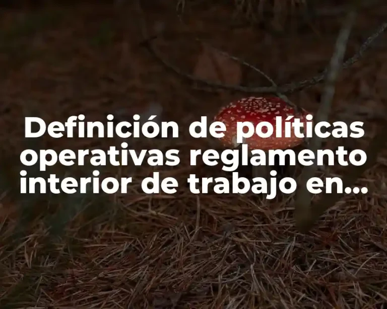 Definición de políticas operativas reglamento interior de trabajo en México