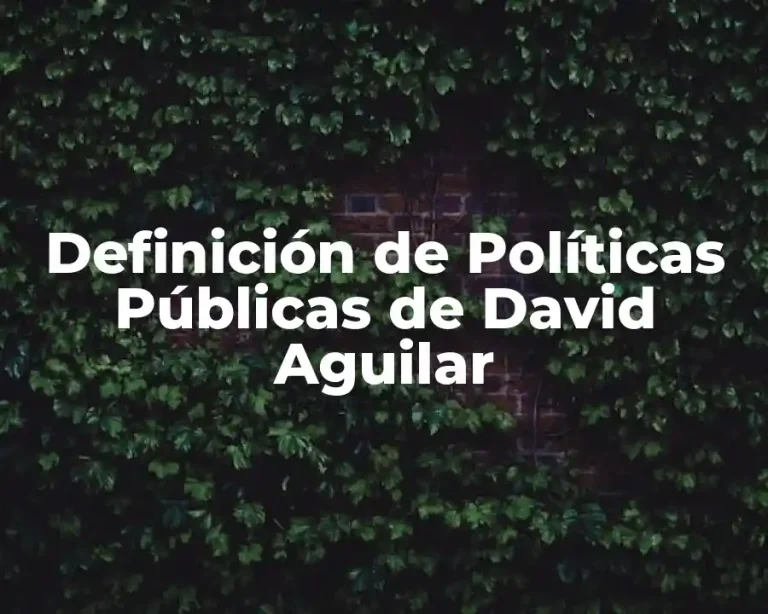 Definición de Políticas Públicas de David Aguilar
