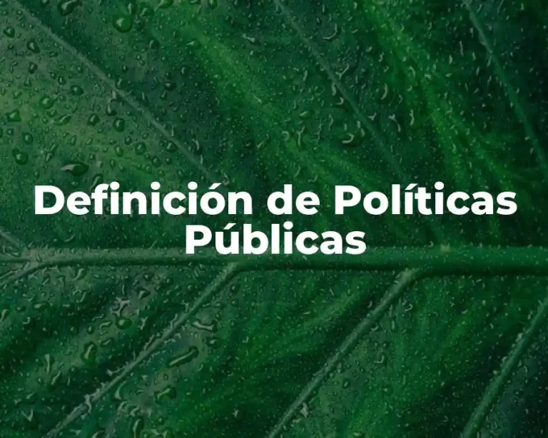 Definición de Políticas Públicas