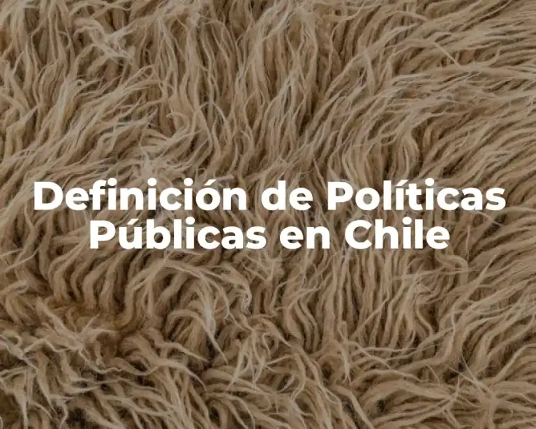 Definición de Políticas Públicas en Chile