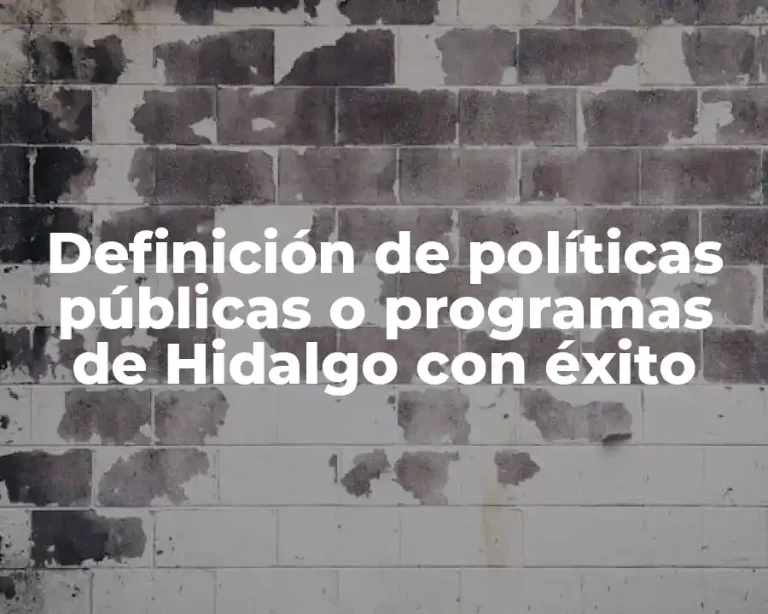 Definición de políticas públicas o programas de Hidalgo con éxito