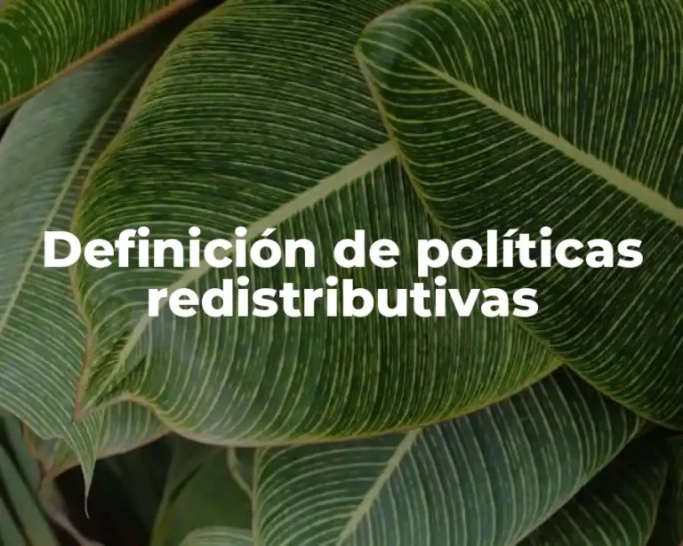 Definición de políticas redistributivas