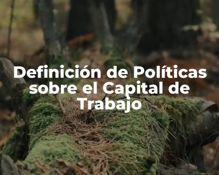 Definición de Políticas sobre el Capital de Trabajo