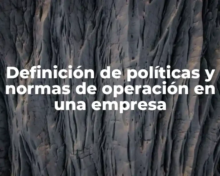 Definición de políticas y normas de operación en una empresa