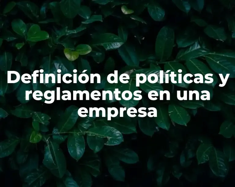 Definición de políticas y reglamentos en una empresa