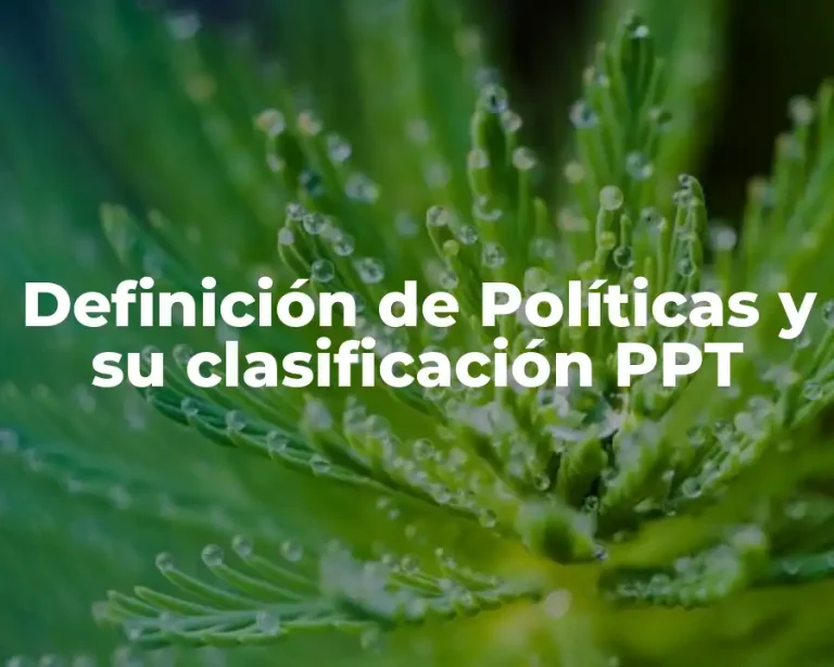 Definición de Políticas y su clasificación PPT