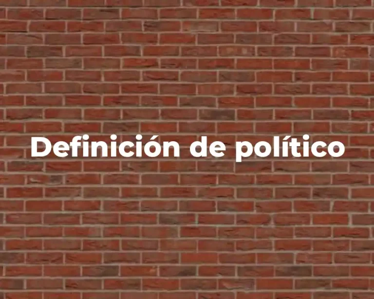 Definición de político