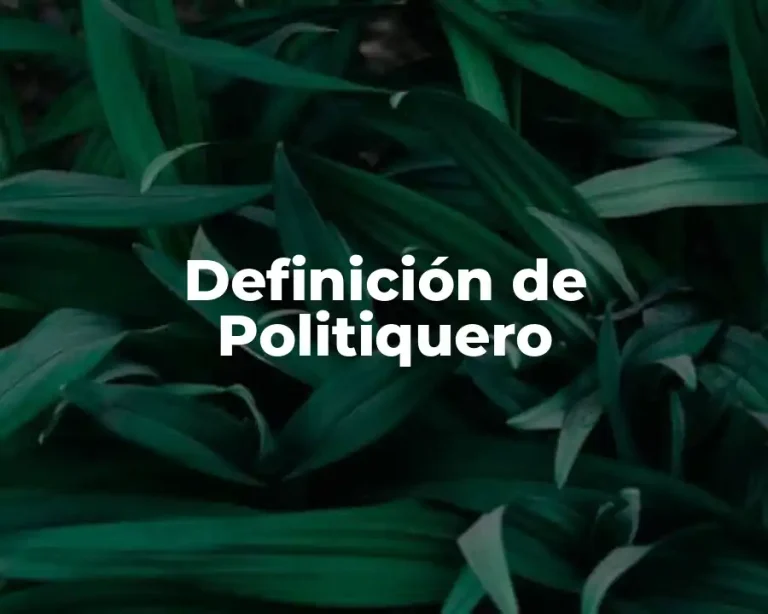 Definición de Politiquero