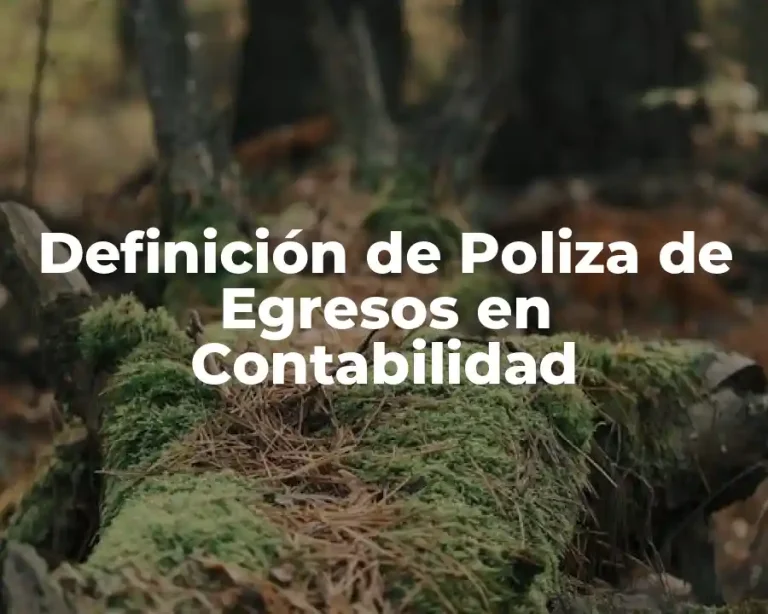 Definición de Poliza de Egresos en Contabilidad