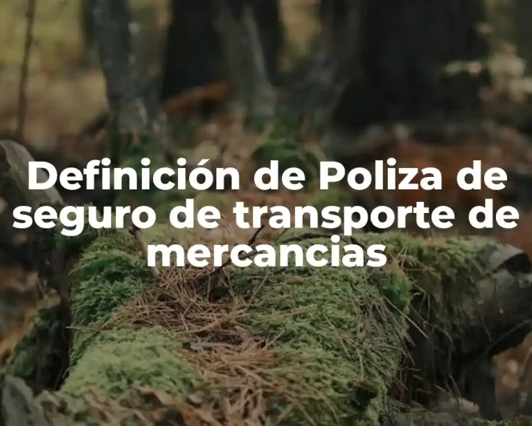 Definición de Poliza de seguro de transporte de mercancias