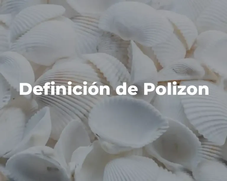 Definición de Polizon