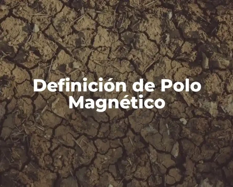 Definición de Polo Magnético