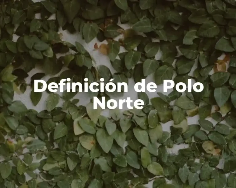 Definición de Polo Norte