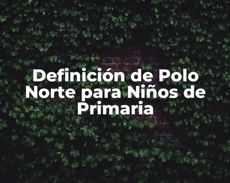 Definición de Polo Norte para Niños de Primaria