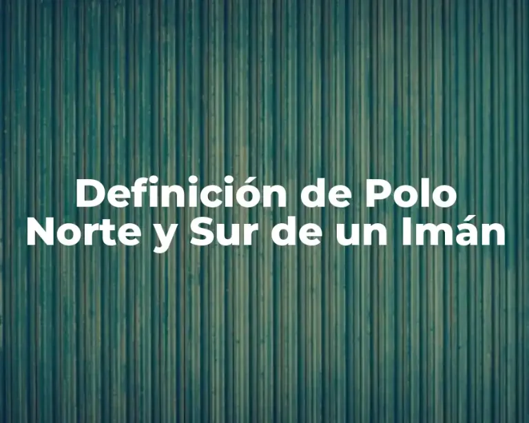 Definición de Polo Norte y Sur de un Imán