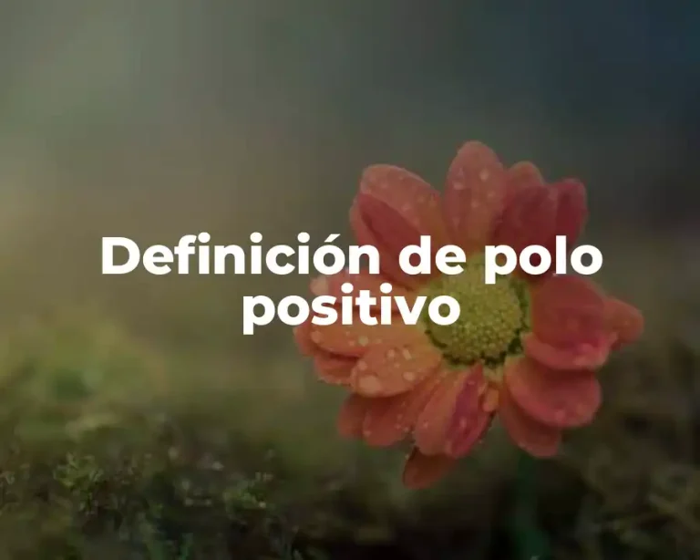 Definición de polo positivo