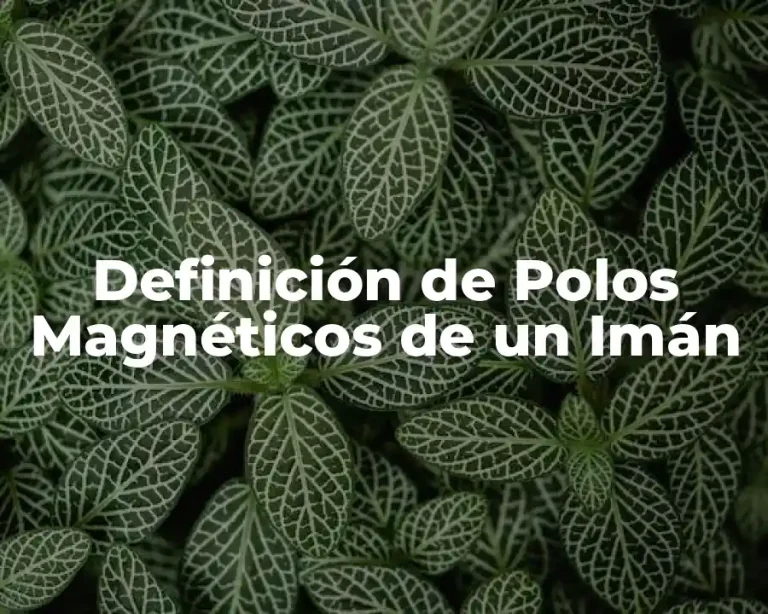 Definición de Polos Magnéticos de un Imán
