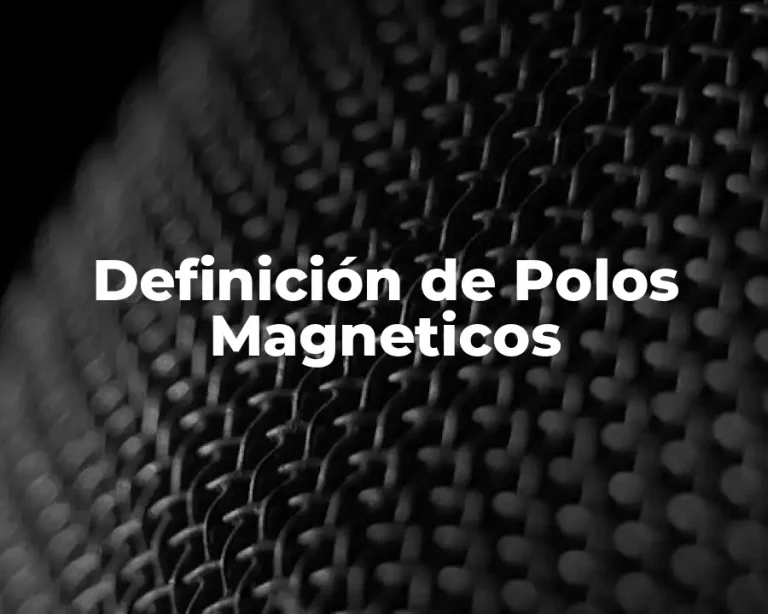 Definición de Polos Magneticos