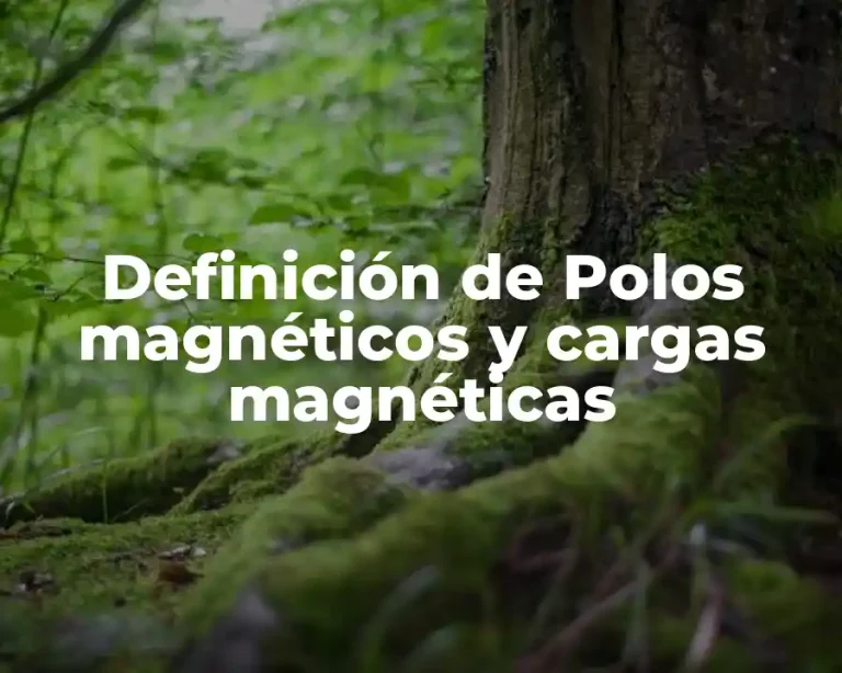 Definición de Polos magnéticos y cargas magnéticas