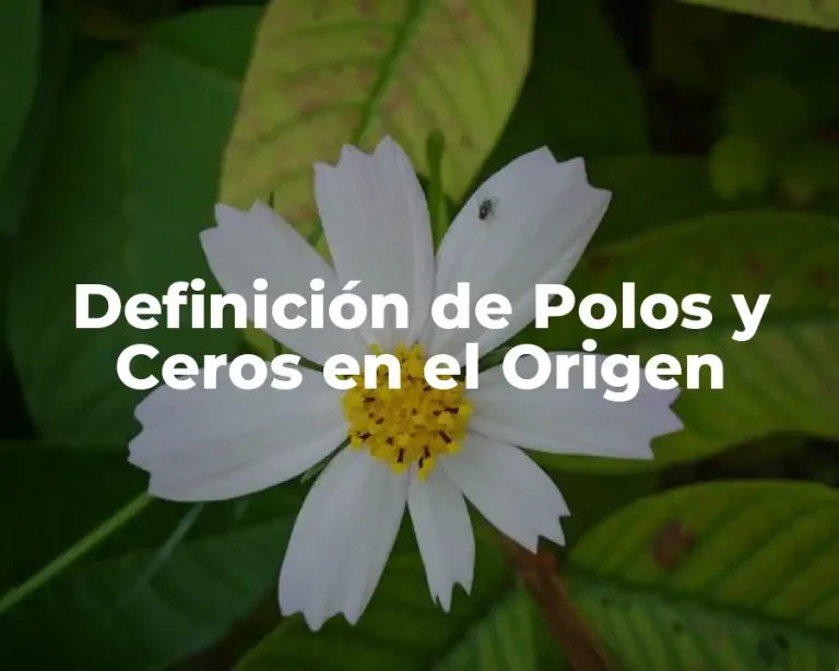 Definición de Polos y Ceros en el Origen