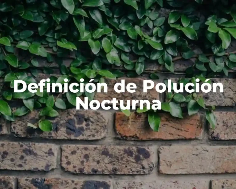 Definición de Polución Nocturna