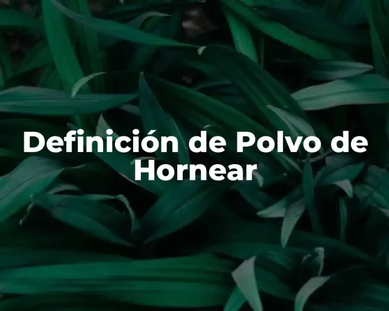 Definición de Polvo de Hornear