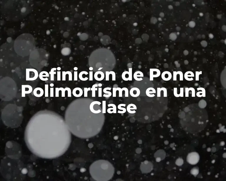 Definición de Poner Polimorfismo en una Clase