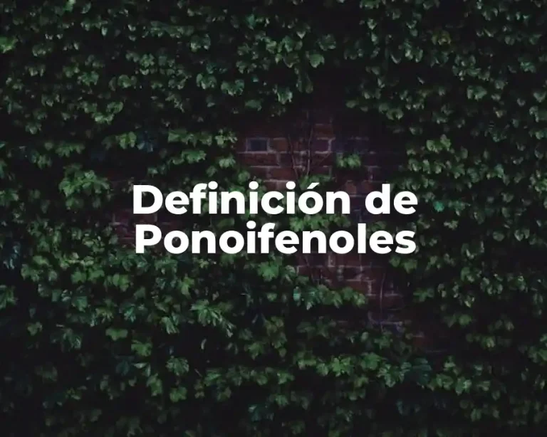 Definición de Ponoifenoles