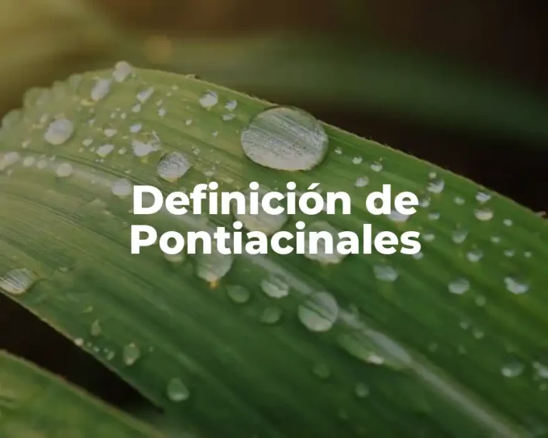 Definición de Pontiacinales