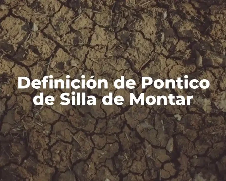 Definición de Pontico de Silla de Montar