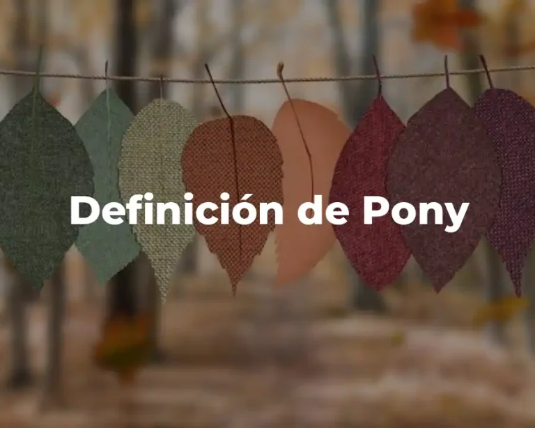 Definición de Pony
