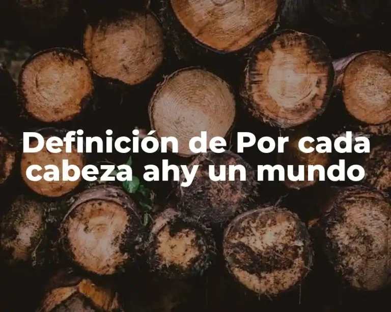 Definición de Por cada cabeza ahy un mundo