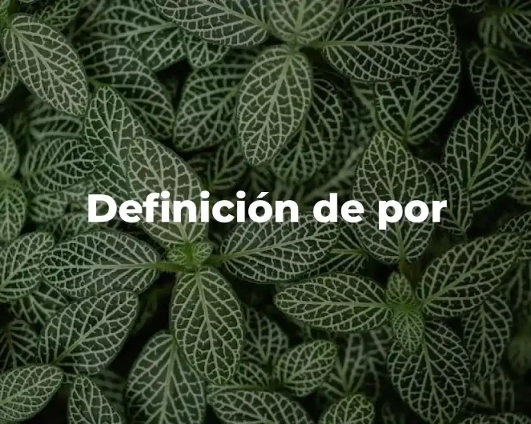 Definición de por