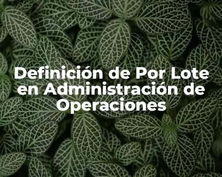 Definición de Por Lote en Administración de Operaciones
