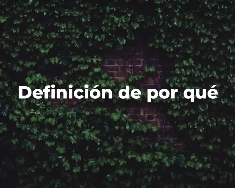 Definición de por qué