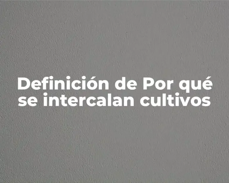 Definición de Por qué se intercalan cultivos