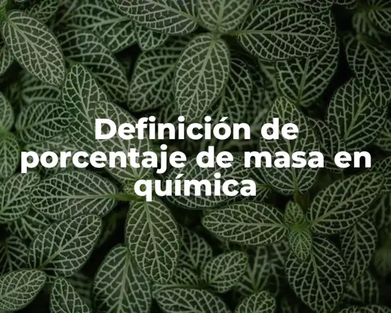 Definición de porcentaje de masa en química