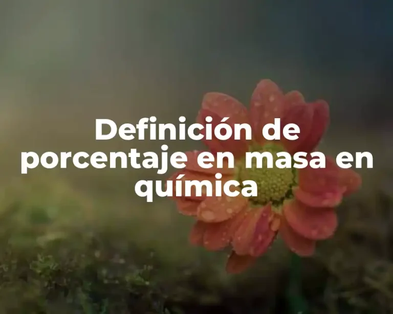 Definición de porcentaje en masa en química